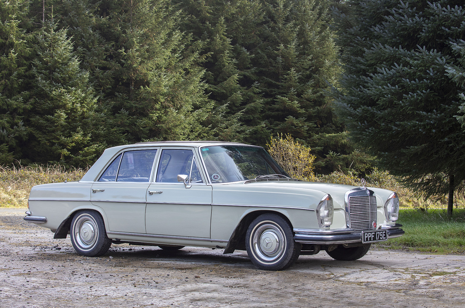 Classic & Sports Car – Buyer’s guide: Mercedes-Benz W108/9