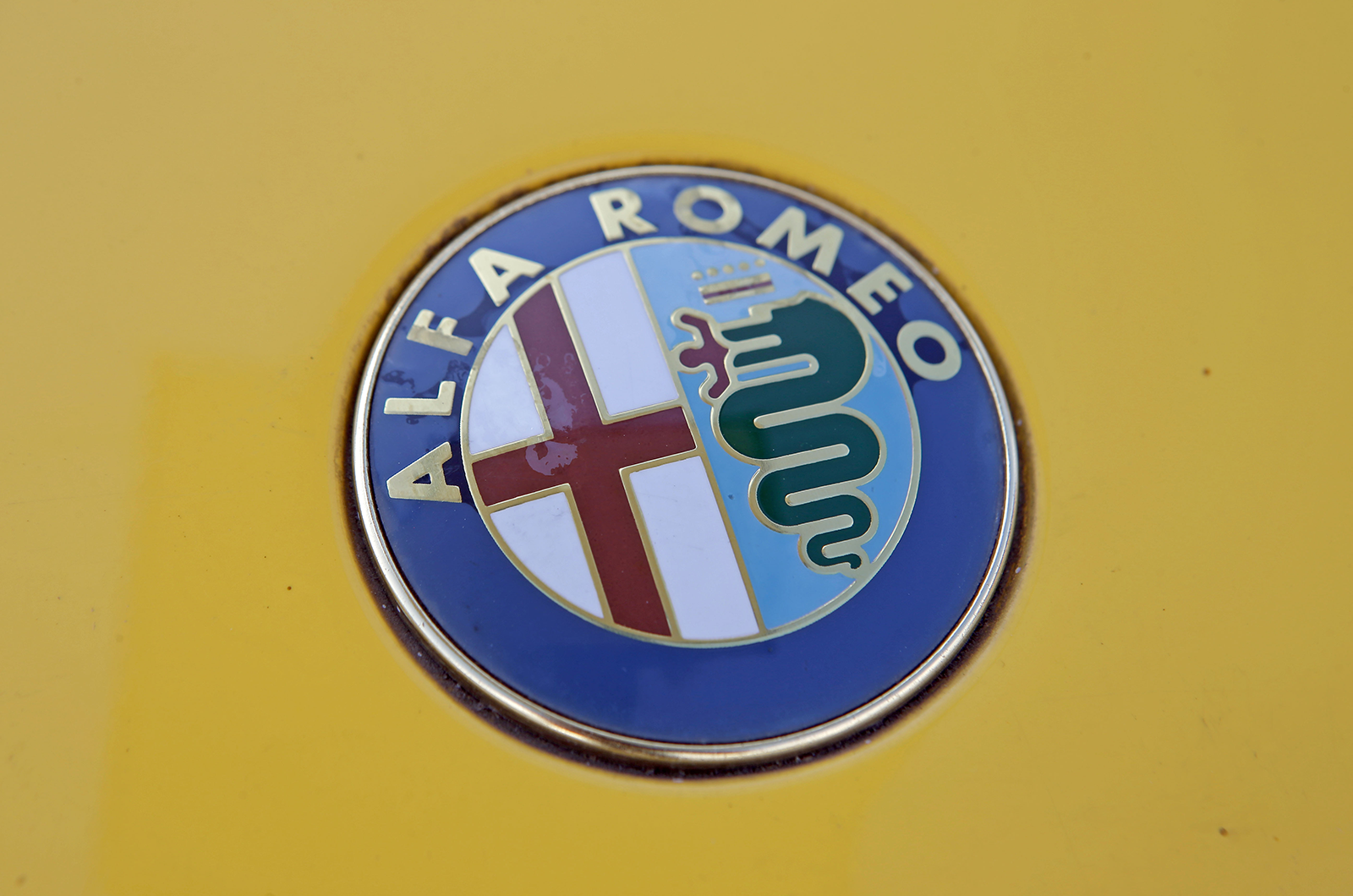 Classic & Sports Car – Alfa Romeo RZ: playing all the angles