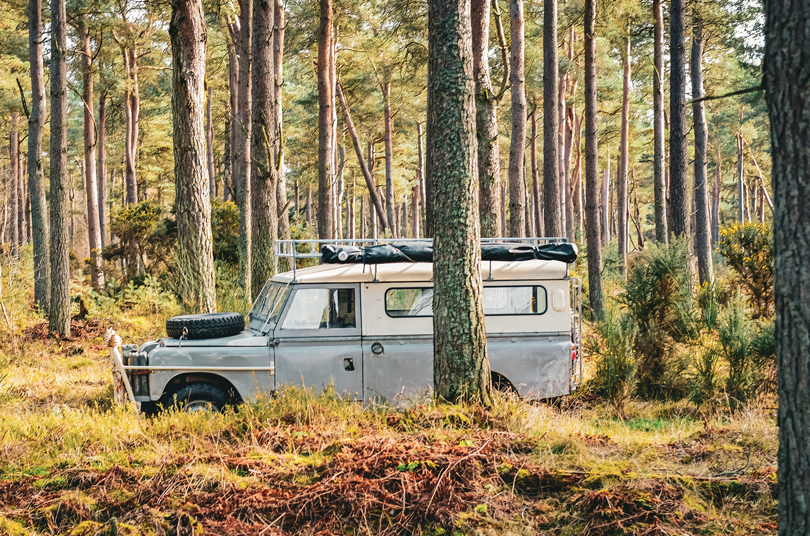 Classic & Sports Car – The Land-Rover that lapped Australia four times