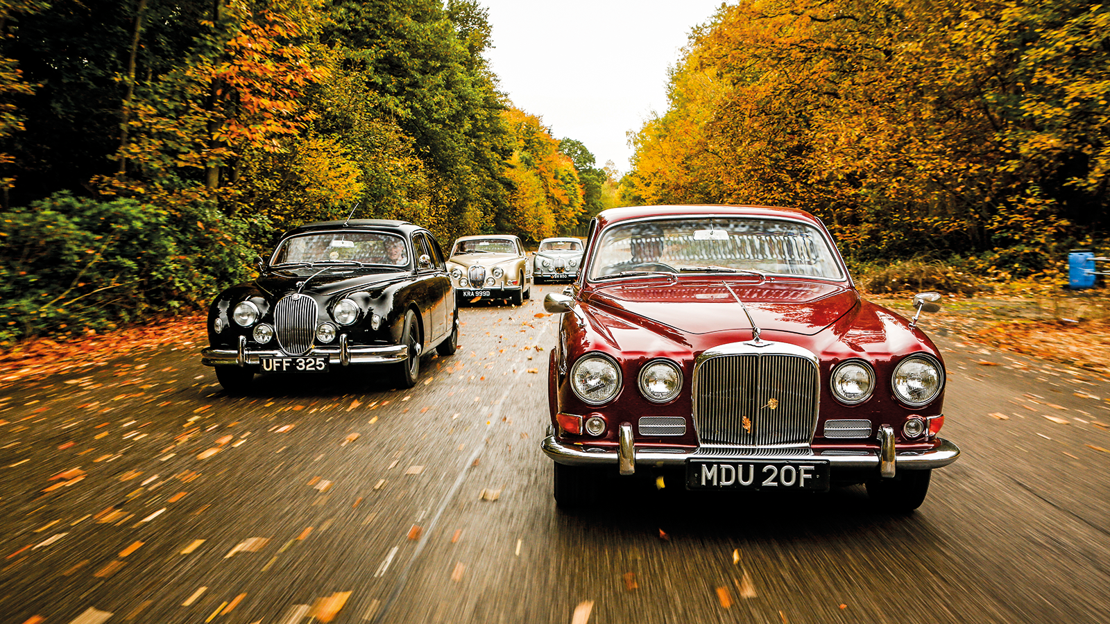 13 stunning photos from our new Jaguar Greatest Hits special