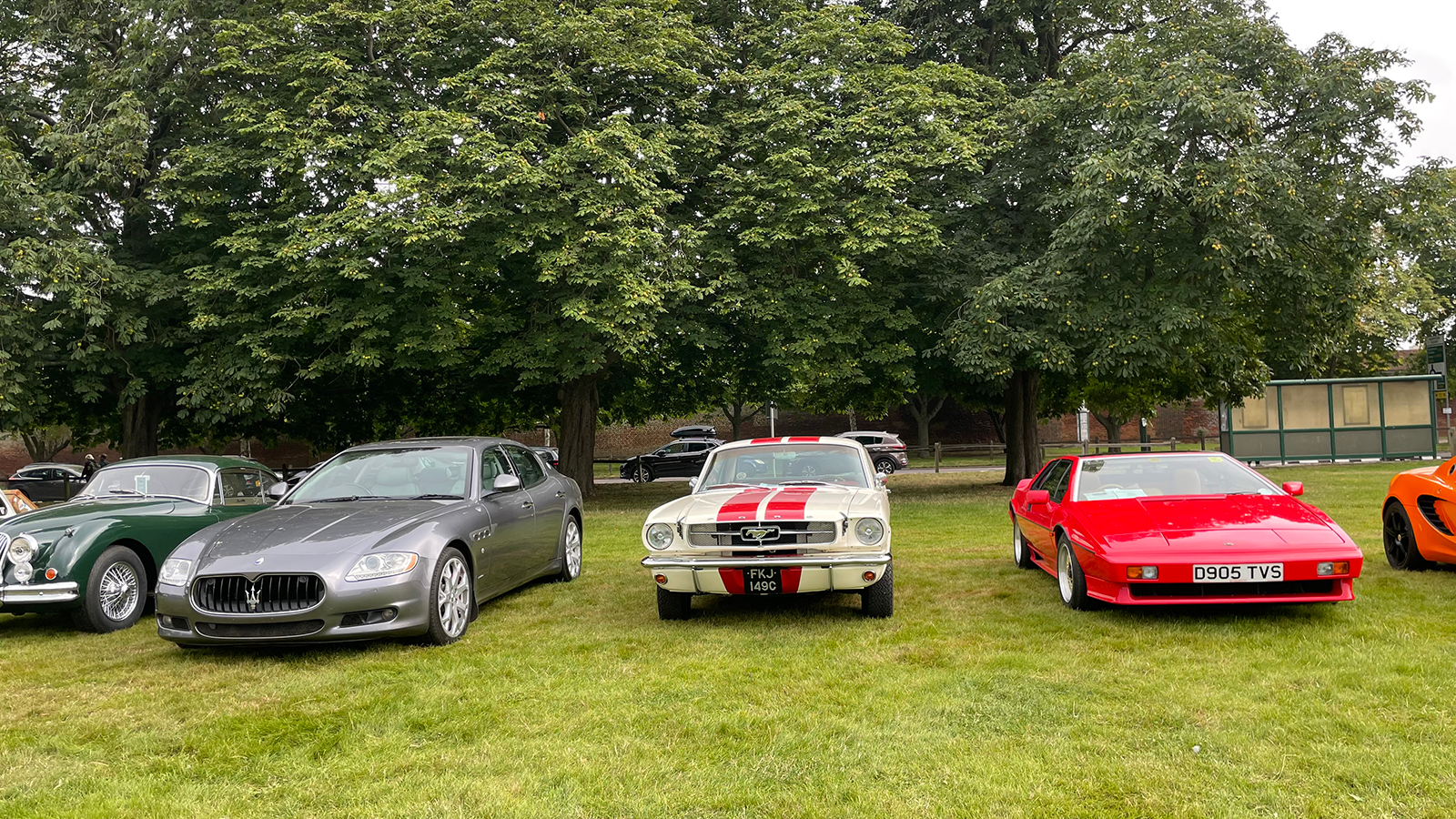 14 reasons to go to Concours of Elegance