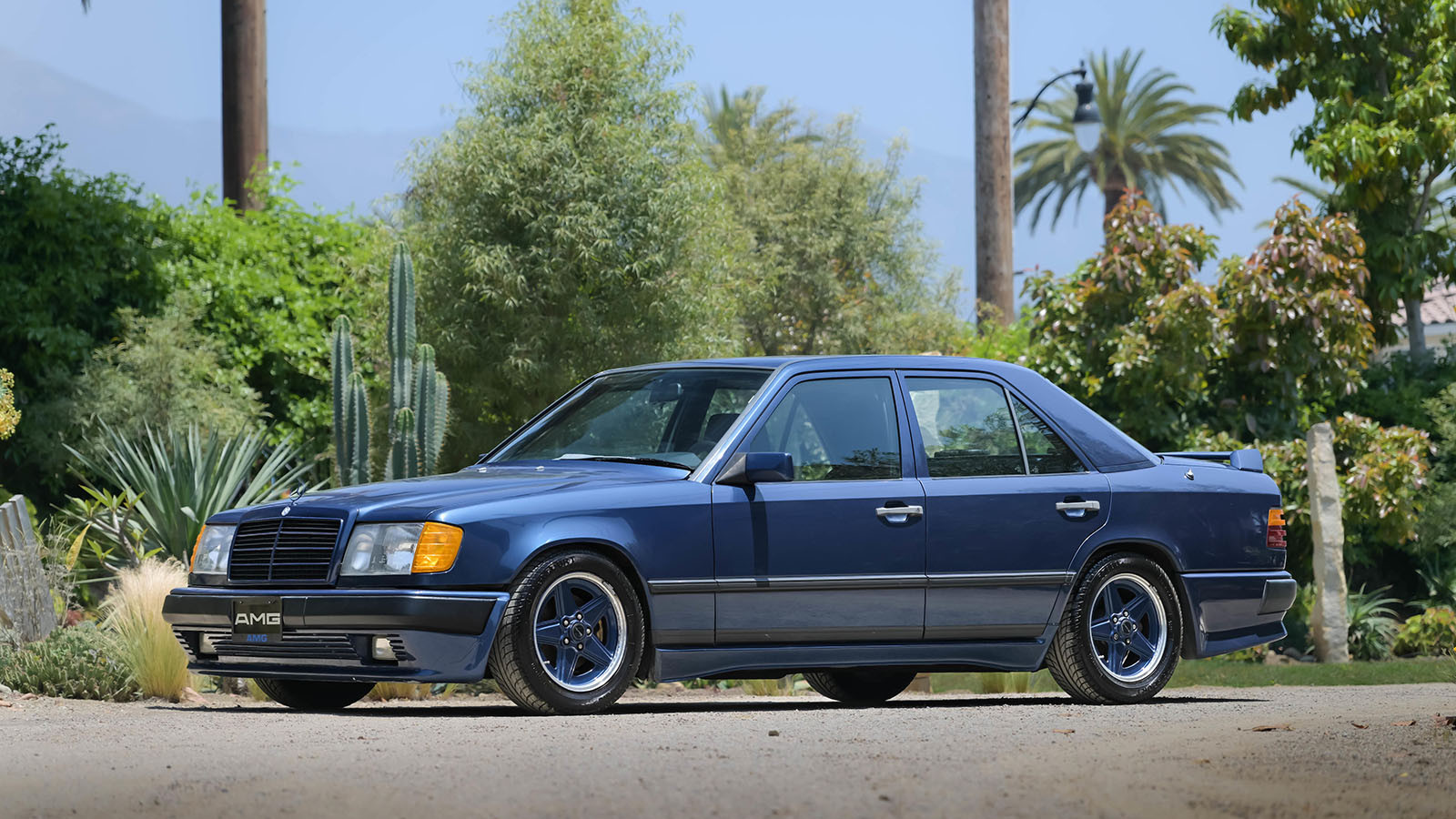 17 rare Mercedes-Benz cars in no-reserve sale